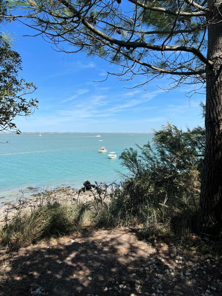 Chre Cathy Et Jean Loup Otel Le Port-des-Barques Dış mekan fotoğraf